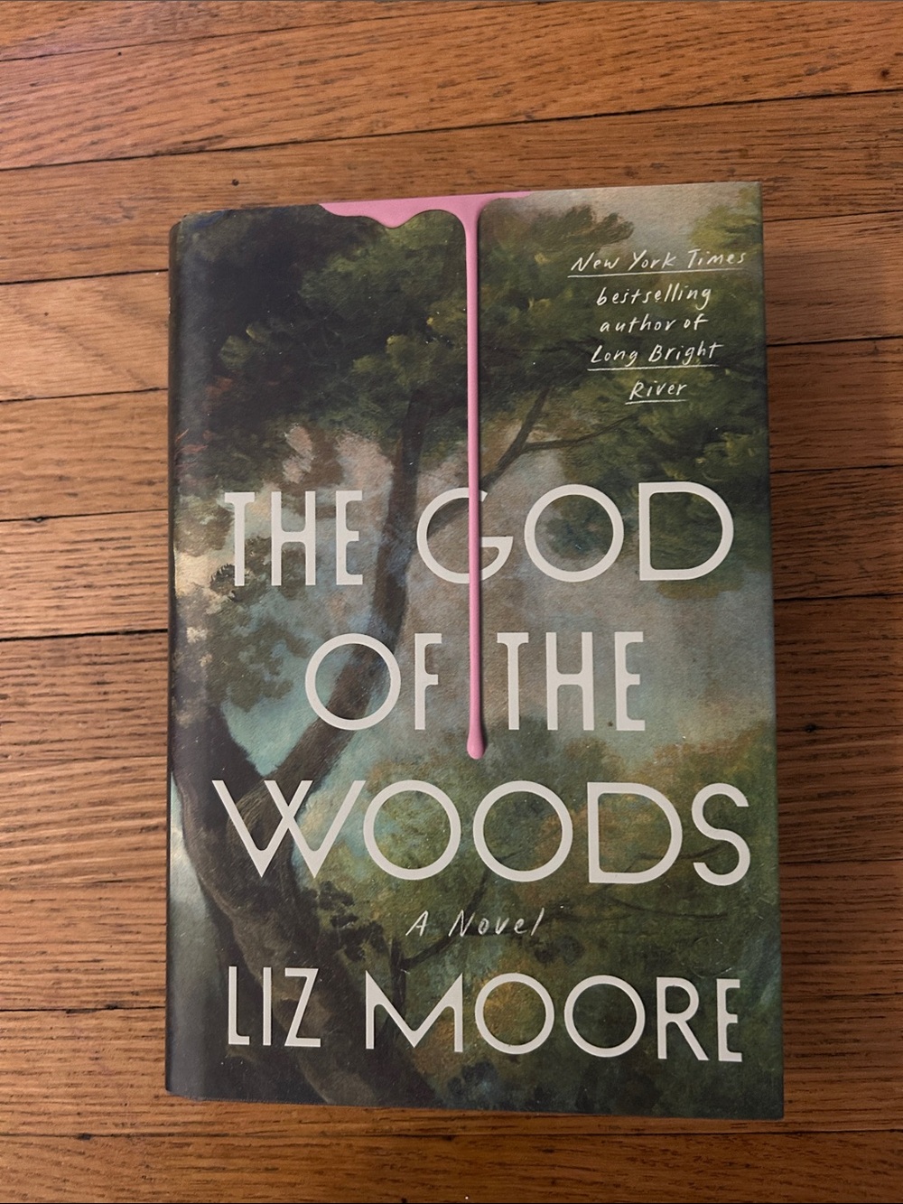 Hardcover book - the god of the woods - Liz Moore - book club - botm